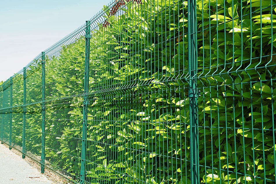 Zielone ogrodzenie panelowe