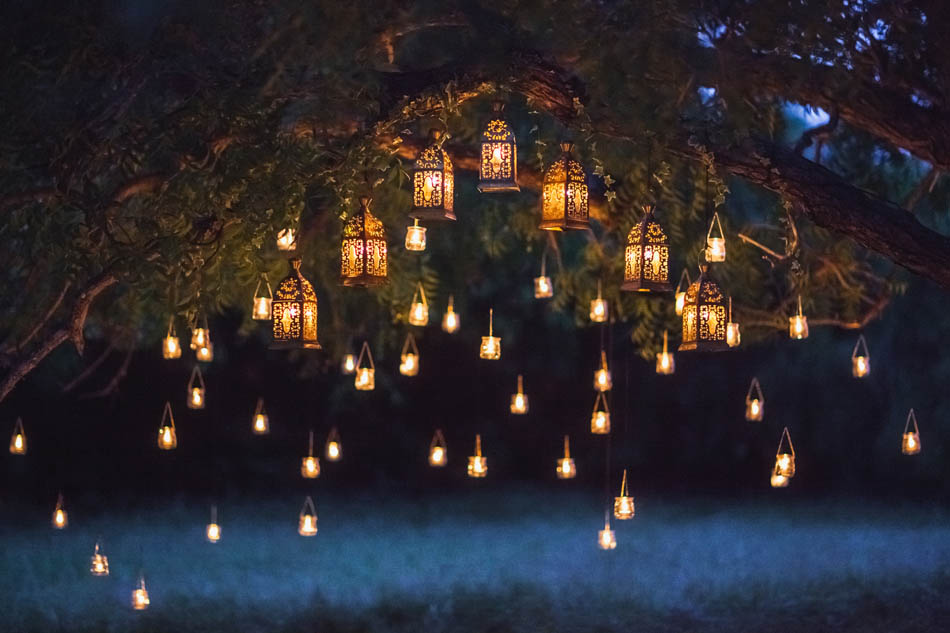 Lampki w ogrodzie